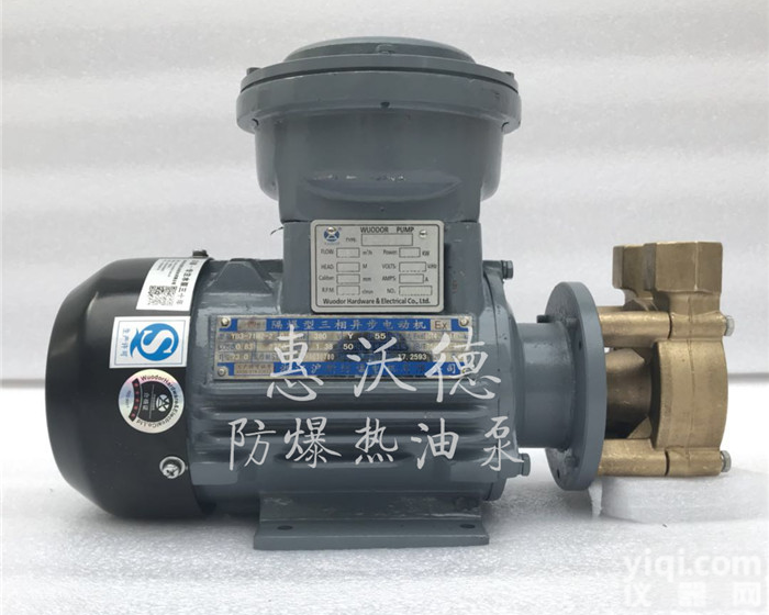 管道泵 热油泵 <em>防爆</em>泵 <em>导热油</em>泵