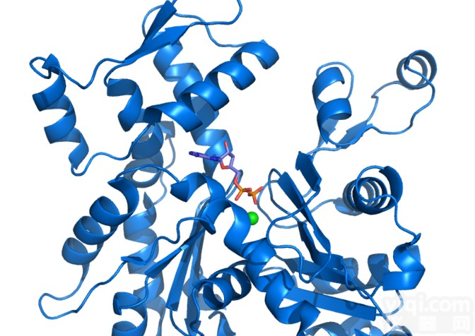 重组人表皮生长因子<em>冻干</em>粉<em>培养基</em>级别