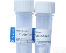 <em>重组</em><em>蛋白</em>K<em>生产厂家</em><em>蛋白</em>K价格