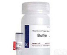 <em>重组</em>胰<em>蛋白</em>酶<em>细胞</em>消化液