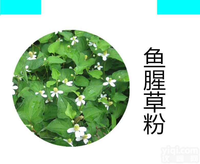 鱼腥草<em>提取物</em> 鱼腥<em>草粉</em> 鱼腥草浸膏  鱼腥草浓缩粉 宁陕国圣茶现货 水溶性好