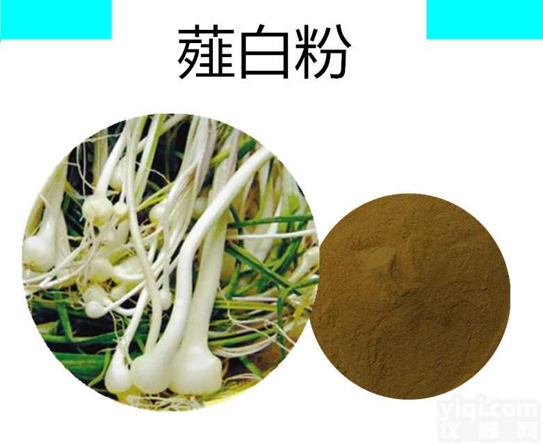 薤白提取物 薤白速溶粉 薤白<em>浓缩粉</em> 薤白<em>浸膏粉</em>   喷雾干燥粉宁陕国圣现货  药食同源 固体饮料 压片糖果代加工