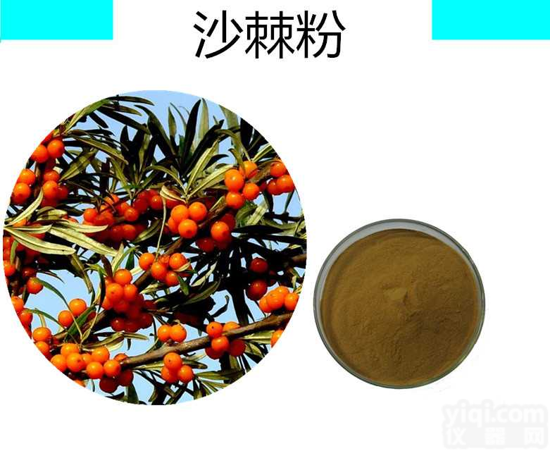 <em>沙棘黄酮</em>  沙棘果粉 沙棘提取物  沙棘粉 沙棘浓缩汁宁陕国圣现货  药食同源 固体饮料 压片糖果代加工