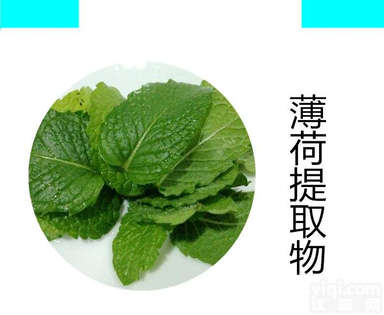 <em>薄荷</em><em>提取物</em>   <em>薄荷</em>速溶粉  <em>薄荷</em>浸膏粉 宁陕国圣 药食同源粉  代加工