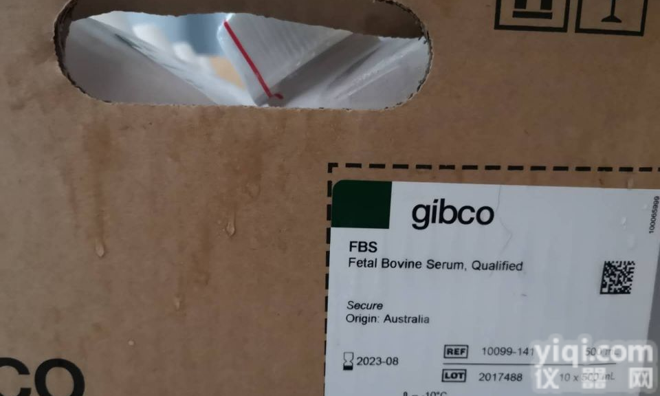 GIBCO, <em>16010</em>-159（新<em>生牛</em><em>新西兰</em>500ml ）