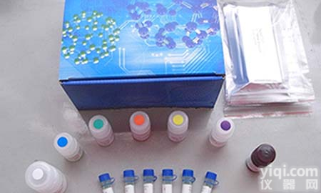 磁珠法DNA<em>凝胶</em>回收<em>试剂盒</em> Gel DNA <em>Purification</em> Mini Kit