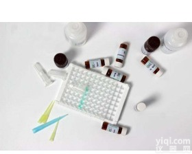 <em>黄曲霉</em>毒素<em>试剂盒</em>