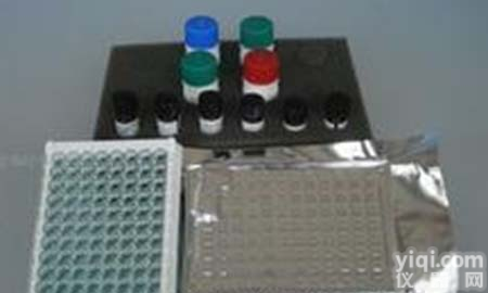 人<em>细胞毒素</em>相关<em>蛋白</em>A(CagA)ELISA Kit