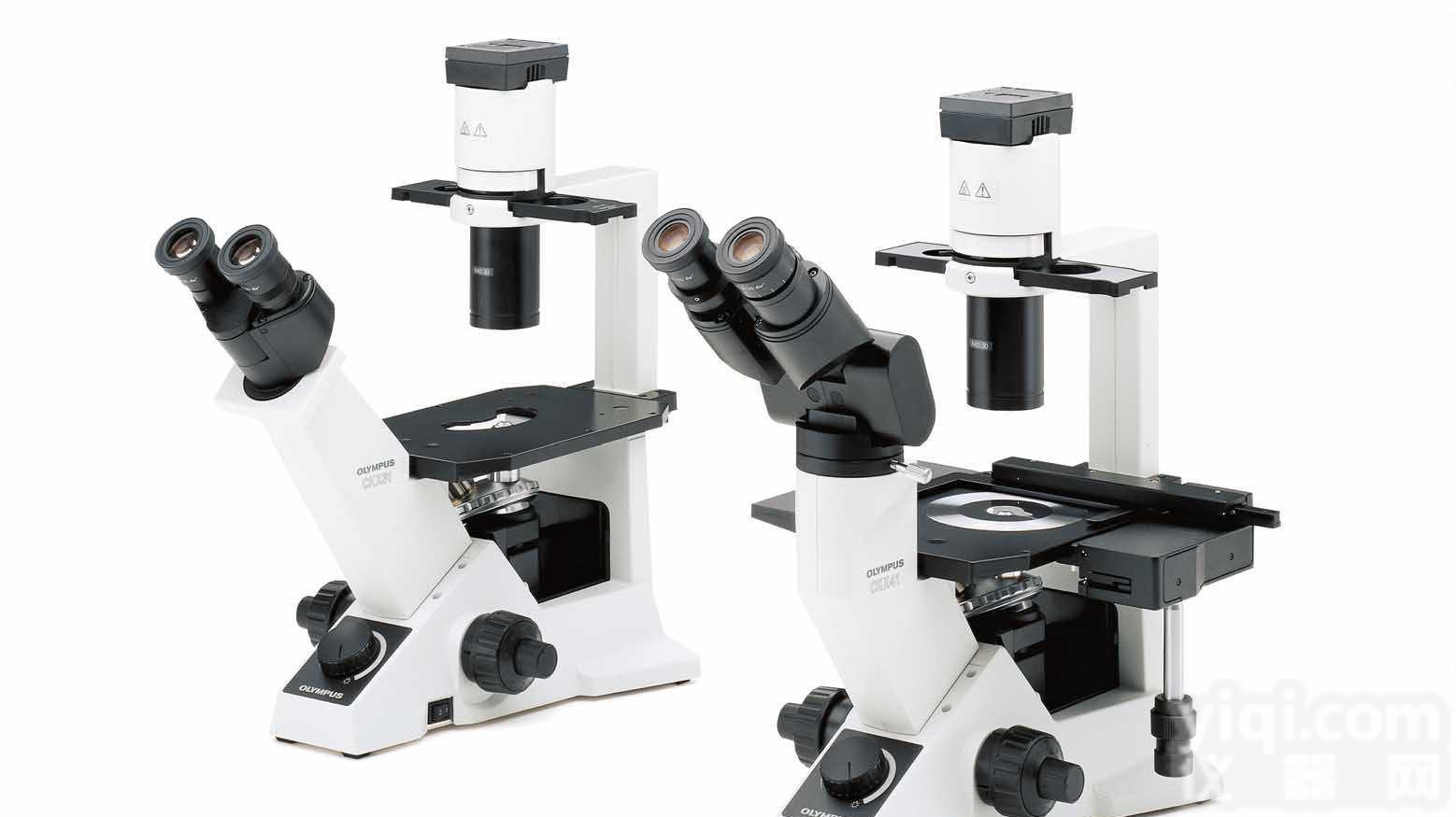 <em>奥林巴斯倒置显微镜CKX31</em>