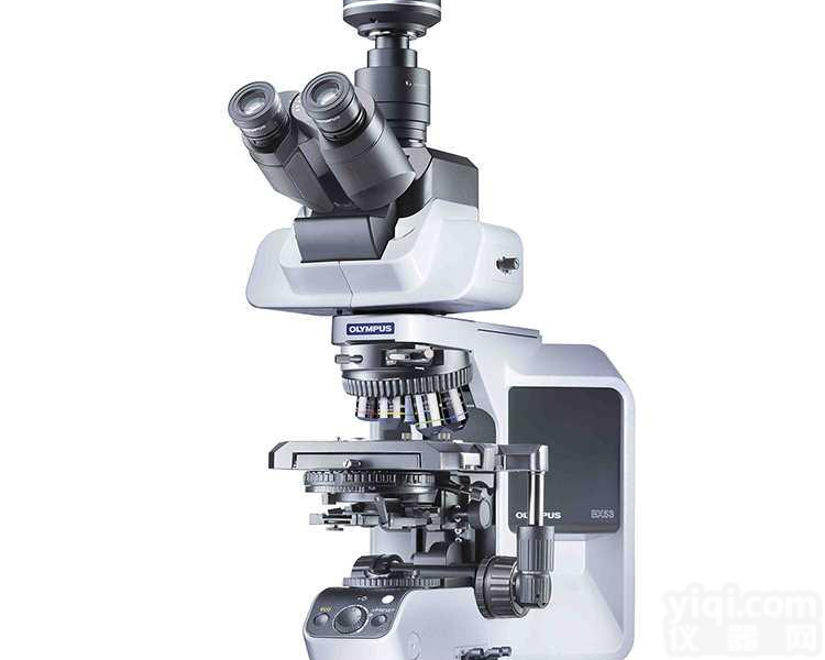 <em>奥林巴斯</em>显微镜<em>BX53</em>