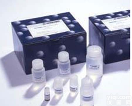 大鼠嗜<em>酸性</em><em>粒细胞</em><em>阳离子</em>蛋白(ECP)ELISA Kit