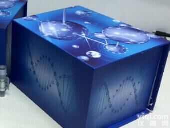 人原钙黏素1(<em>PCDH1</em>)<em>ELISA</em> <em>Kit</em> #企业新闻资讯