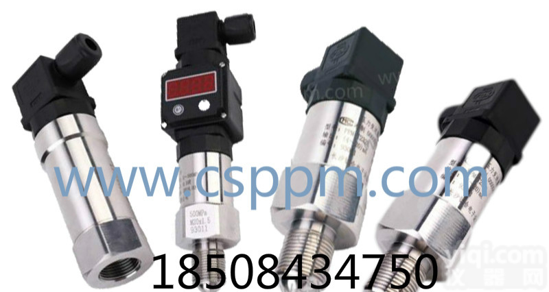 PPM-T232E超高压力传感器 PPM-T293A由壬压力传感器