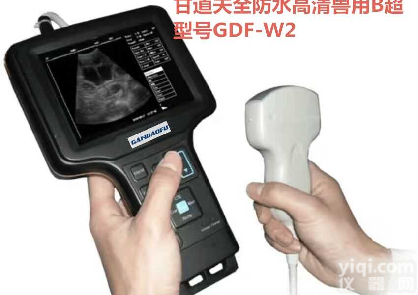 特价猪用B超<em>今日</em>新<em>报价</em>便宜母猪B超