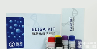 ELISA<em>试剂盒</em>|人肝<em>糖原</em>ELISA<em>试剂盒</em>