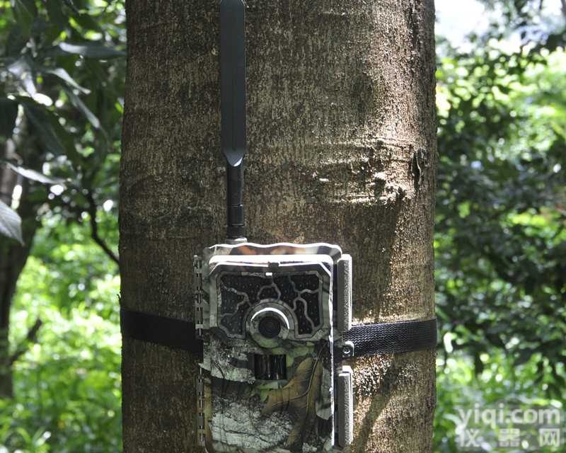 千里拍SY-999M4G物<em>联网</em>云<em>存储</em>GPS定位无线红外夜视自动监测仪