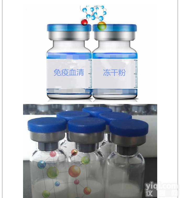 正常<em>豚鼠</em>IgG<em>现货供应</em>