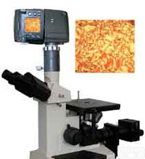 数码<em>显微镜</em>  各种型号<em>显微镜</em> 华东区<em>总代理</em>