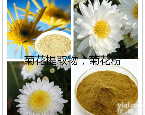 宁夏凯源厂家直销 菊花<em>提取物</em> 原料 菊花粉 <em>现货</em>包邮