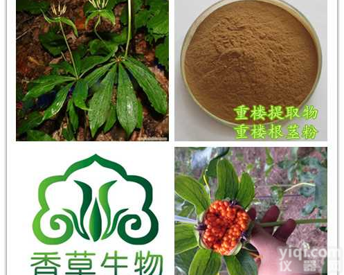 重楼提取物厂家 批发金线重楼粉 <em>浓缩液</em> 草河车根粉 <em>浸膏</em>