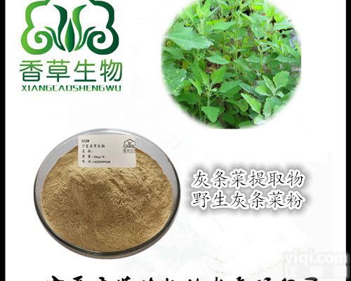 灰灰菜提取物产地  宁夏厂家供应灰灰菜粉 野灰菜<em>浓缩液</em> <em>浸膏</em>