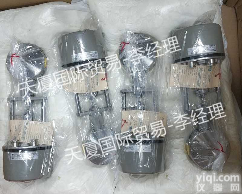 德国BADGER<em>控制阀</em>3/8 NPT <em>现货</em>