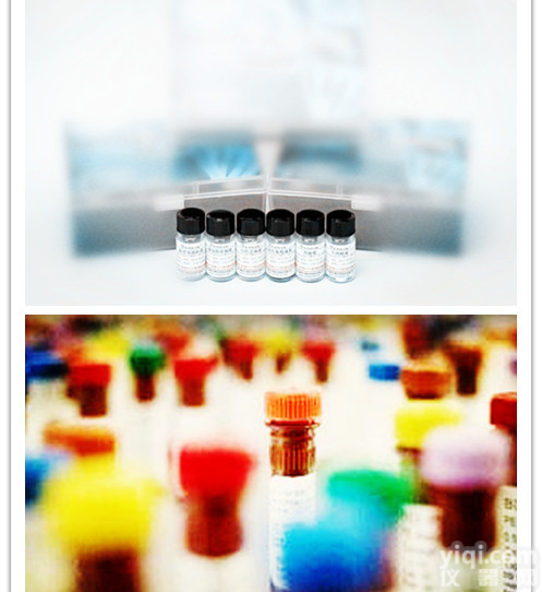 葡萄酒中<em>山梨酸</em>、<em>苯甲酸</em>质控品