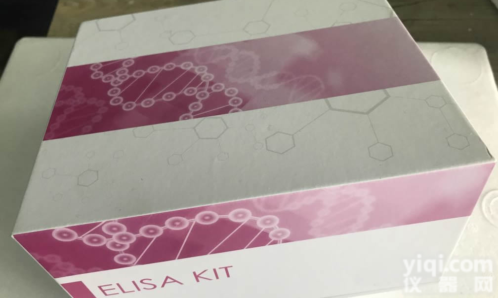 <em>Salusin</em> β <em>试剂盒</em>规格