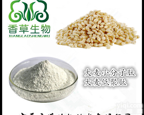 <em>宁夏</em>厂家供应大麦低聚肽 <em>水解</em>大麦蛋白肽粉现货 大麦肽98%价格