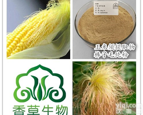 <em>玉米须</em><em>提取物</em>生产商 厂家供应<em>玉米须</em>纯粉 棒子毛超微粉500目价格