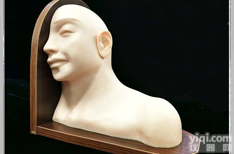 <em>高级耳部检查模型</em> 采耳练习模型