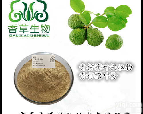 青<em>柠檬</em>叶<em>提取物</em>20:1 宁夏厂家批发青<em>柠檬</em>叶粉  <em>柠檬</em>叶浓缩液现货