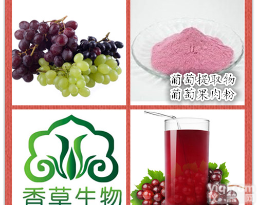 <em>葡萄</em><em>提取物</em>生产商 厂家供应<em>葡萄</em>浓缩汁粉 <em>葡萄</em>籽<em>花青素</em>90%现货