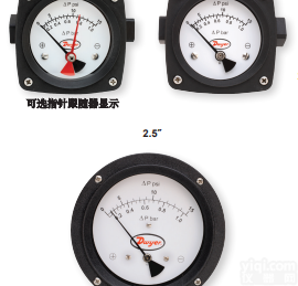 <em>德威尔</em>活塞式<em>差压</em>表