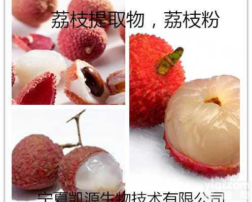 宁夏凯源现货<em>荔枝</em>粉 <em>荔枝</em>提取物 <em>荔枝</em>浸膏 多种规格  1公斤起订