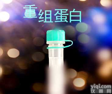 重组人<em>ARSA</em>蛋白 Recombinant Human <em>Arylsulfatase</em> A/<em>ARSA</em>