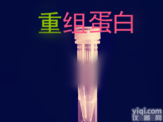 <em>重组</em>人GSS蛋白 Recombinant Human <em>Glutathione</em> synthetase/GSS