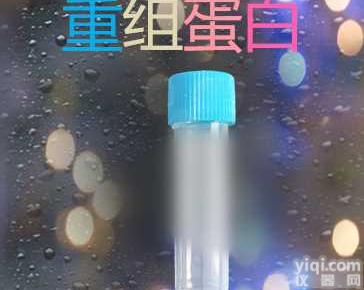 重组人PRDX1蛋白 <em>Recombinant</em> <em>Human</em> <em>Peroxiredoxin</em>-1/PRDX1