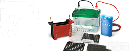 <em>伯乐</em>BIORAD<em>转印</em>槽MiniTransBlotCell<em>现货</em>