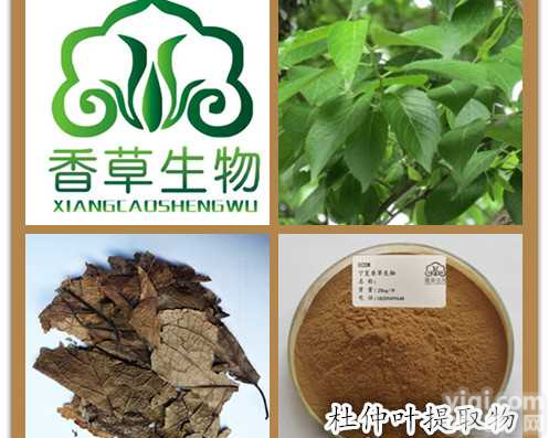 <em>杜仲</em>叶<em>提取物</em>价格 厂家直销<em>杜仲</em>叶粉 <em>杜仲</em>叶浓缩液市场价