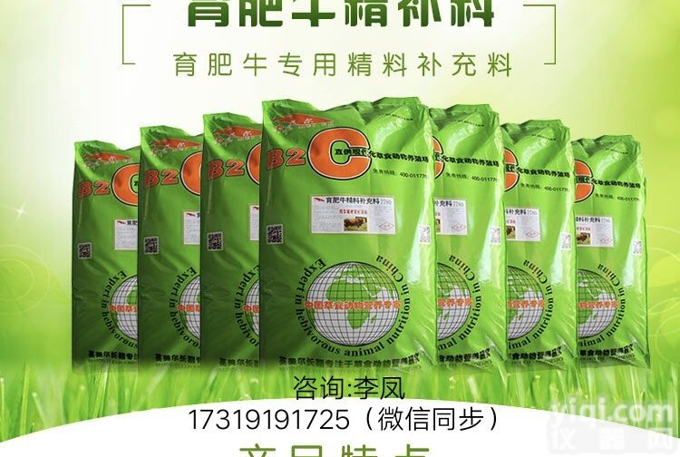 肉牛<em>后期</em><em>催肥</em>精料配方V喂牛的饲料