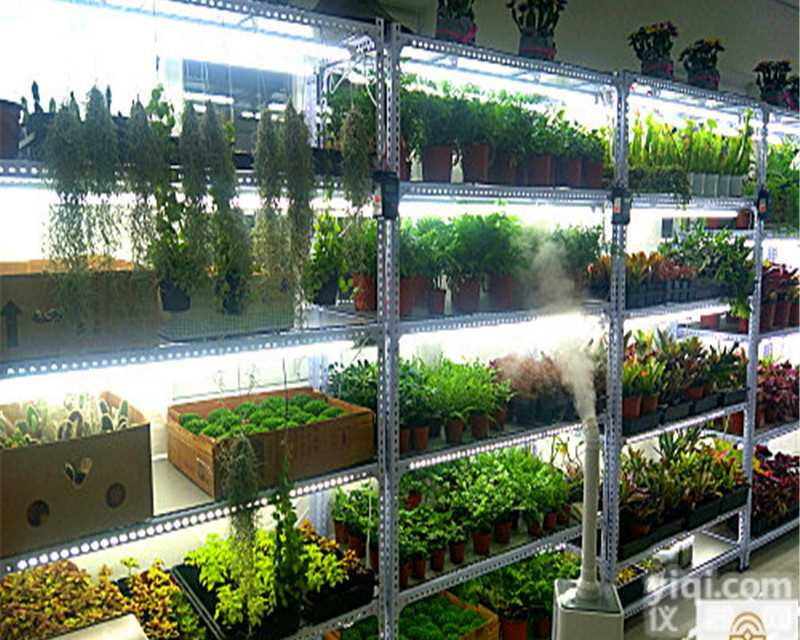 <em>组培</em>架 <em>北京</em>鸿商祺科技有限公司供应 <em>北京</em>市内免费送货上门