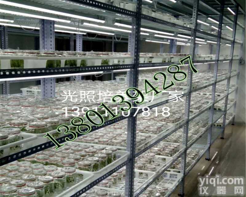北京鸿商祺供应<em>植物</em><em>组培</em>架 <em>组培</em>设备 培养架 <em>植物</em>光照<em>组培</em>架 <em>植物</em>培养架