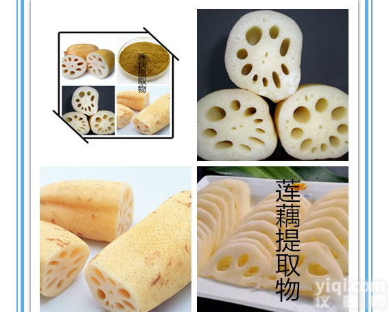 莲藕<em>提取物</em> 膳食<em>纤维</em>粉 莲藕粉多种规格1公斤起订