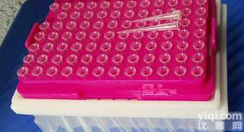 细胞扩增 血清 血清替代物 细胞培养基细胞培养添加物 培养基/琼脂混合物 <em>细胞因子</em>趋化因子和生长因子胰酶中和液用的耗材