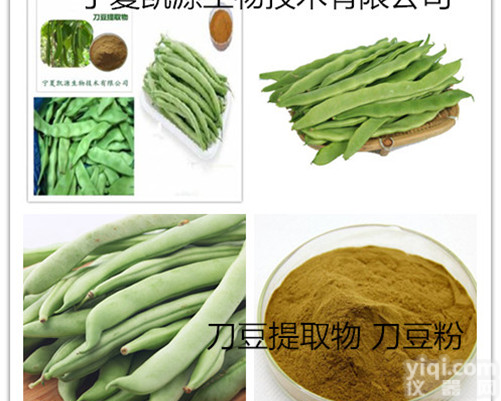 刀豆粉 速溶粉 <em>浓缩粉</em> 刀豆<em>提取物</em>10:1宁夏凯源厂家直销 现货