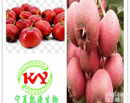 山楂粉 <em>山楂果</em>汁粉 山楂<em>提取物</em> 1公斤起订 多种规格