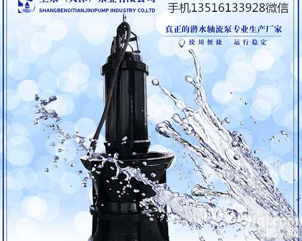 河北<em>沧州</em>高压<em>轴流泵</em>