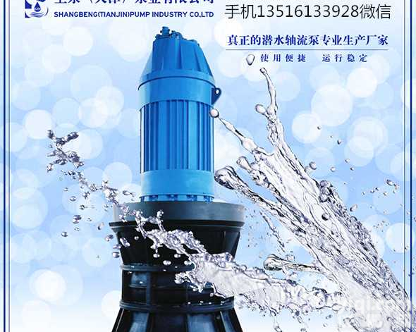 山东泰安大流量<em>排水</em><em>潜水</em>轴流泵