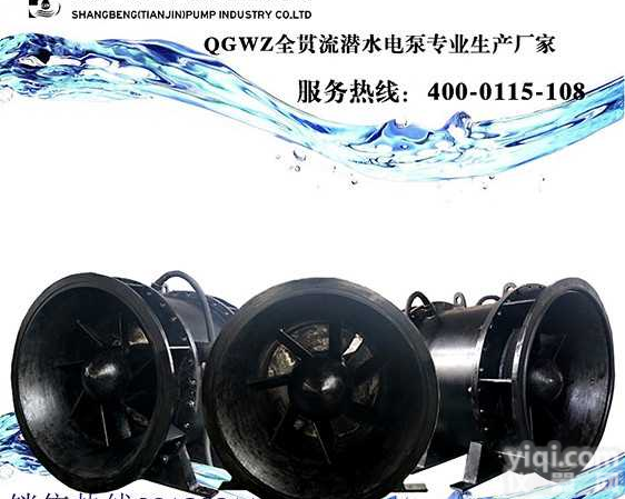 广东深圳<em>排涝</em>用全<em>贯流</em>泵